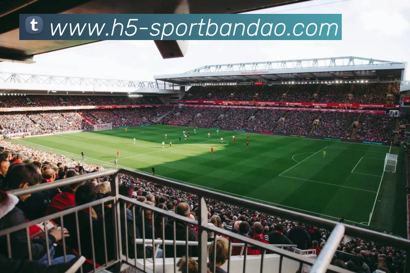 半岛体育服务体系